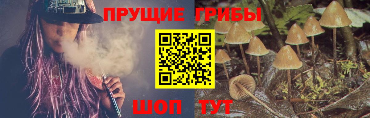 Балтийск  Псилоцибиновые грибы Psilocybe  Вход с VPN  где купить наркоту  Псилоцибиновые грибы Psilocybine cubensis 